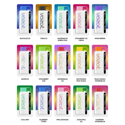 Vozol Star 12000 Puffs Disposable Vape – Dual Mode, Rechargeable Vape with Display